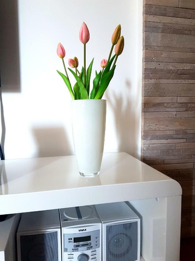 פודסטראנה Apartment Rio מראה חיצוני תמונה